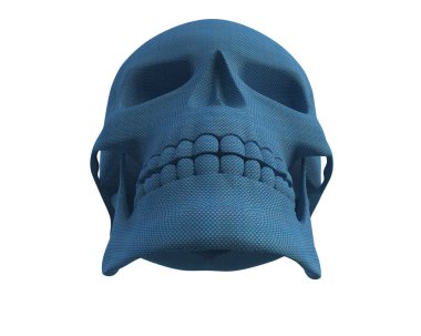 kafatası beyaz arkaplanda izole edildi 