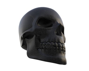 kafatası beyaz arkaplanda izole edildi 