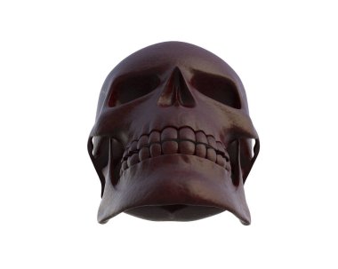 kafatası beyaz arkaplanda izole edildi 