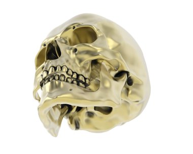 kafatası beyaz arkaplanda izole edildi 