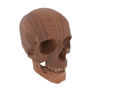 kafatası beyaz arkaplanda izole edildi 