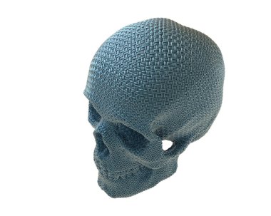 kafatası beyaz arkaplanda izole edildi 