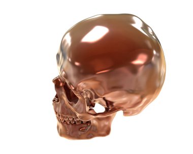 kafatası beyaz arkaplanda izole edildi 