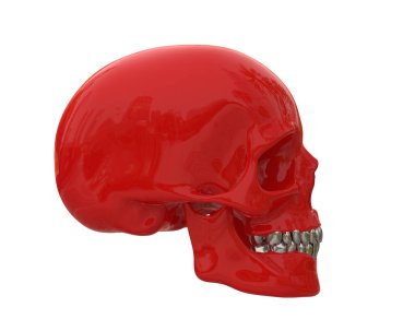 kafatası beyaz arkaplanda izole edildi 