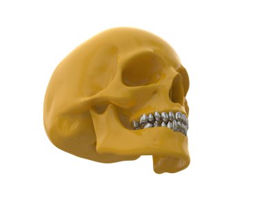 kafatası beyaz arkaplanda izole edildi 