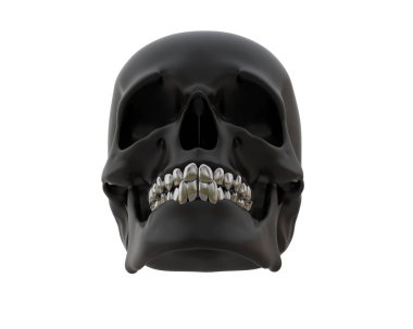 kafatası beyaz arkaplanda izole edildi 