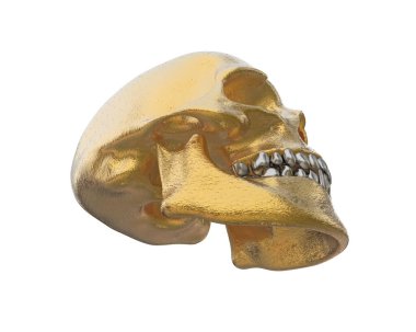 kafatası beyaz arkaplanda izole edildi 