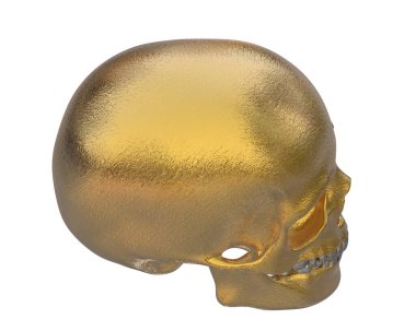 kafatası beyaz arkaplanda izole edildi 