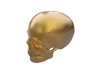 kafatası beyaz arkaplanda izole edildi 