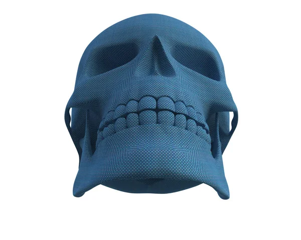 kafatası beyaz arkaplanda izole edildi 