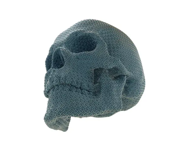 kafatası beyaz arkaplanda izole edildi 