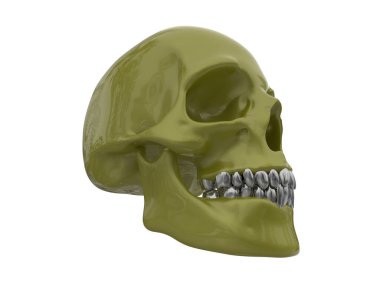 kafatası beyaz arkaplanda izole edildi 