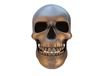 kafatası beyaz arkaplanda izole edildi 