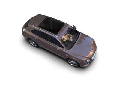 uzun gölgeli modern küçük siyah araba.