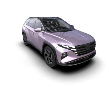 Bir spor cipin 3 boyutlu görüntülemesi