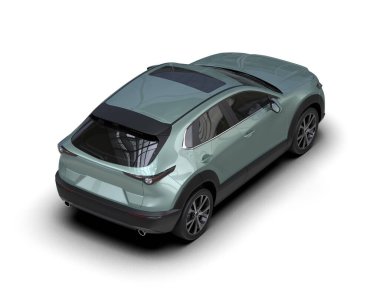 Beyaz arka planda gölgeli siyah modern aile cipi. 3d illüstrasyon