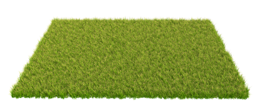 3D çim işleme, beyaz arkaplan izole, bilgisayar tarafından oluşturulan resim.
