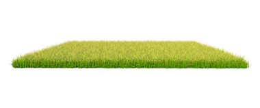 çimenler beyazda izole