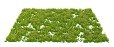 yeşil çimen dokusu. Vektör. beyaz arkaplanda izole edilmiş