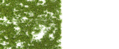 Yeşil yapraklı arka plan. vektör