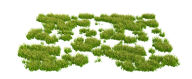 Çiçekli çimenler. vektör