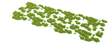 Şeffaf arkaplanda çimen   