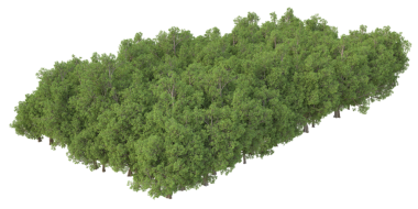 Beyaz arka planda izole edilmiş ağaç. 3d illüstrasyon.