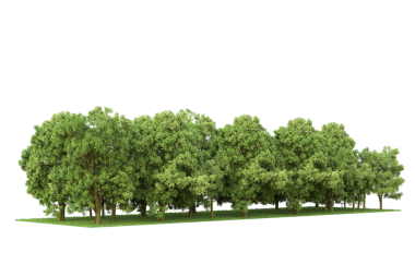 Beyaz arkaplanda izole edilmiş yeşil ağaç, vektör illüstrasyon tasarımı