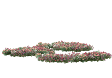 kırpma yolları olan izole bir çalı.