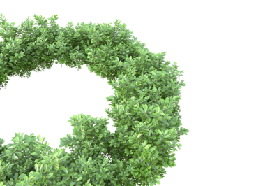 Sarmaşık bitkisinin 3 boyutlu görüntüsü