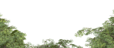 Vizyoner bir ağacın deseni