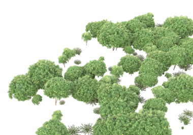 Siyah arkaplanda izole edilmiş yeşil bir ağacın 3 boyutlu resmi