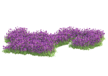 Beyaz arkaplanda yalıtılmış leylak çiçekleri, 3 boyutlu illüstrasyon, 3 boyutlu görüntüleme