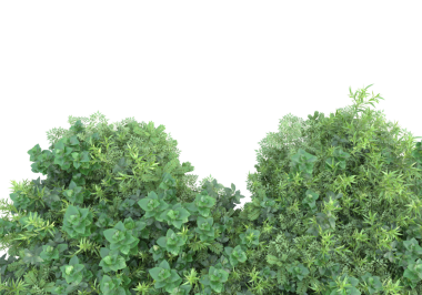 Siyah arkaplanda izole edilmiş 3 boyutlu ağaç çizimi