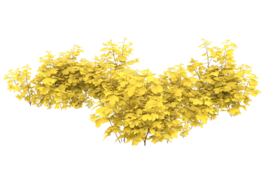 3 boyutlu illüstrasyon. Siyah arkaplanda sarı akçaağaç yaprağı.