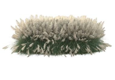 3D illüstrasyon - bir kürk ağacı