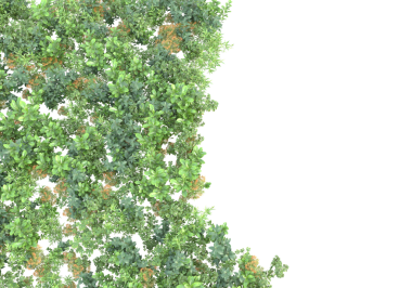 yeşil ağaç arka planı. Vektör çizimi. 3d oluşturma.