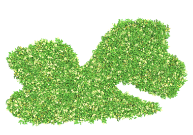 Yeşil çimenlerin üzerinde beyaz arka plan, vektör çizim