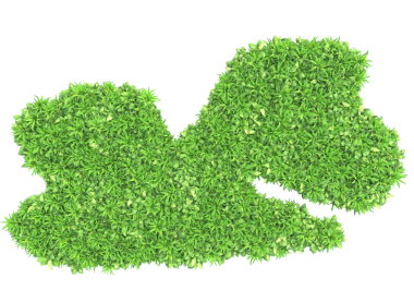 Beyaz arkaplanlı 3 boyutlu yeşil çimen