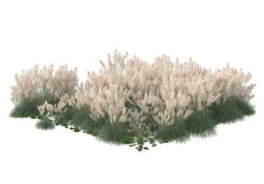 izole kırpma yolu ile beyaz arka plan üzerinde