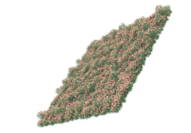 Garda Gölü haritası, yeşil yapraklar, siyah arka planda.