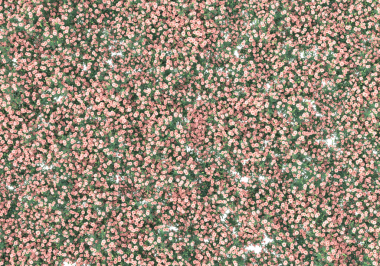 pembe ve beyaz mermer desen arkaplanı