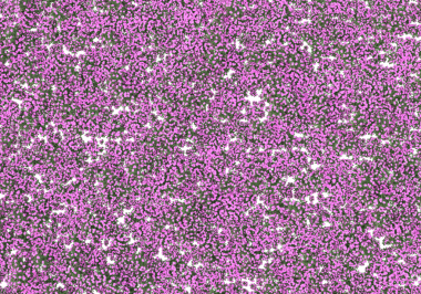 Pembe ile soyut arkaplan