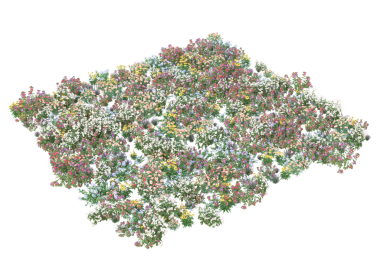 Bir çiçeğin 3 boyutlu görüntüsü