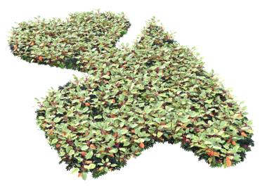 Beyaz üzerine izole edilmiş yeşil bitki, 3 boyutlu resimleme