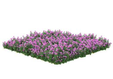 3 boyutlu pembe çiçekler..