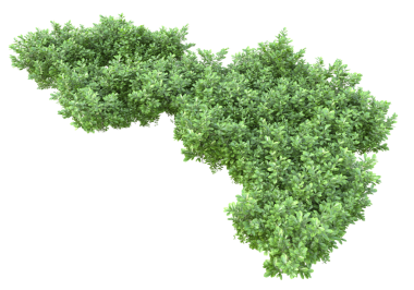 3 boyutlu yeşil çimen.