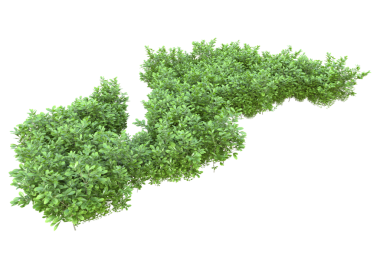 Bir ağacın 3 boyutlu çizimi