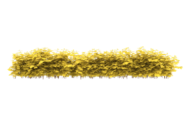 Siyah arkaplanda altın sarısından yapılmış sarı harf