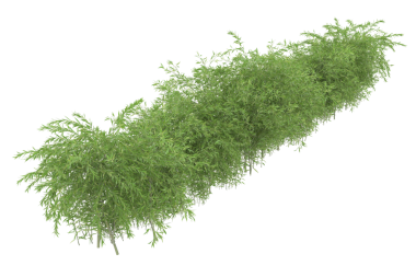 3 boyutlu yeşil yosun beyazı izole eder.